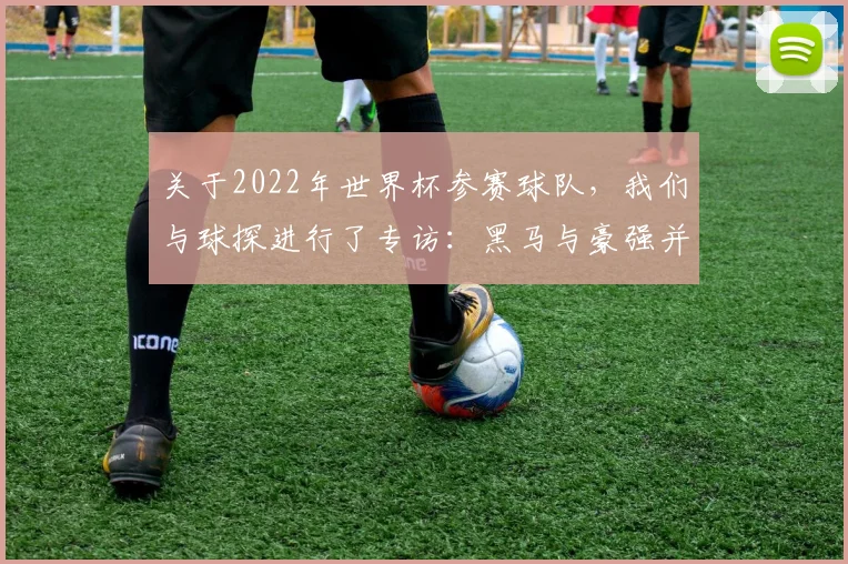 关于2022年世界杯参赛球队，我们与球探进行了专访：黑马与豪强并存