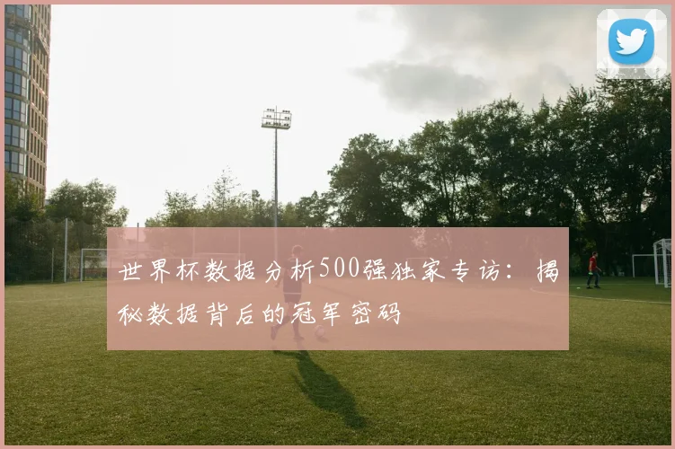 世界杯数据分析500强独家专访:揭秘数据背后的冠军密码