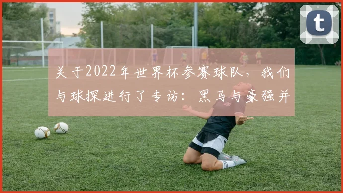 关于2022年世界杯参赛球队，我们与球探进行了专访：黑马与豪强并存