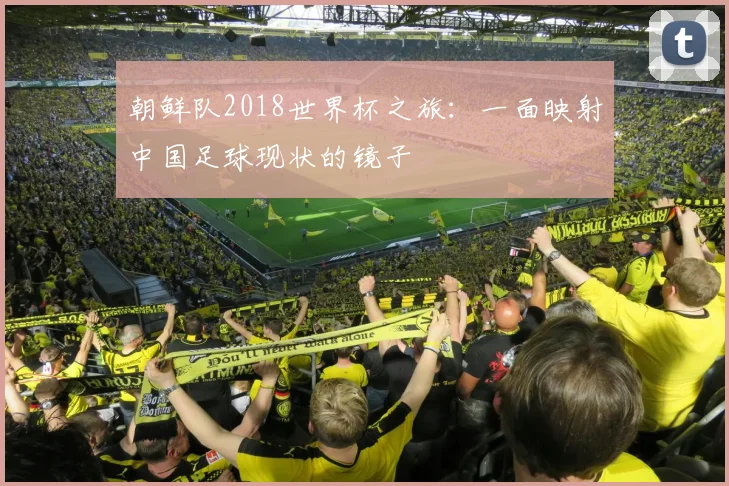 朝鲜队2018世界杯之旅:一面映射中国足球现状的镜子