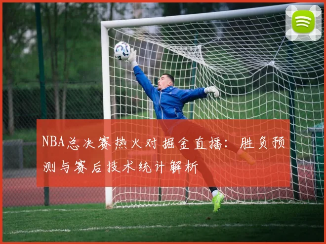 NBA总决赛热火对掘金直播：胜负预测与赛后技术统计解析