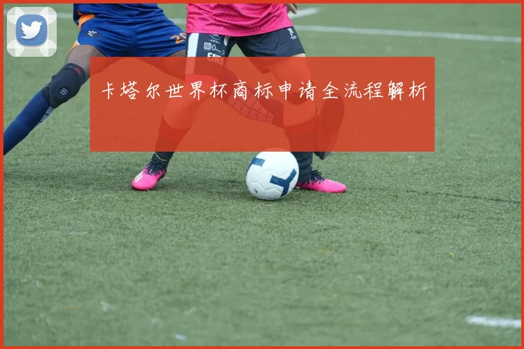 卡塔尔世界杯商标申请全流程解析