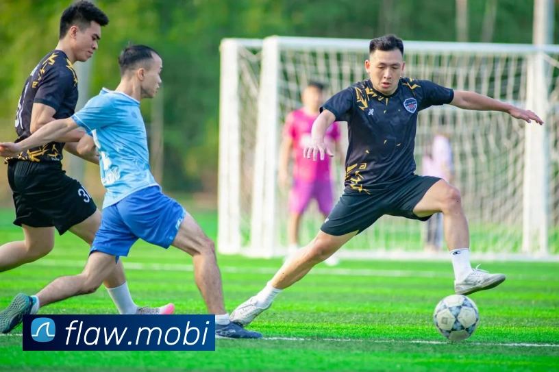 开宝体育app下载官网平台生态图